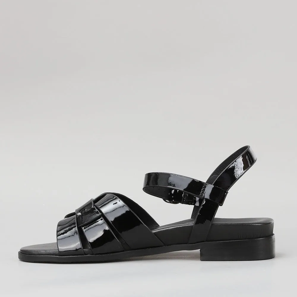 Damen - Black Patent